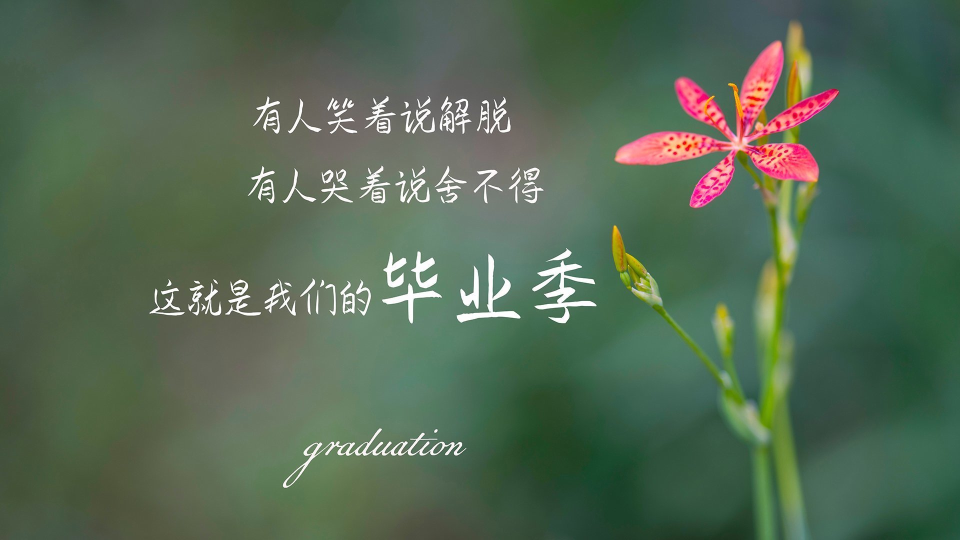 卒已过河,当保罗时刻照亮辽宁的集体星图