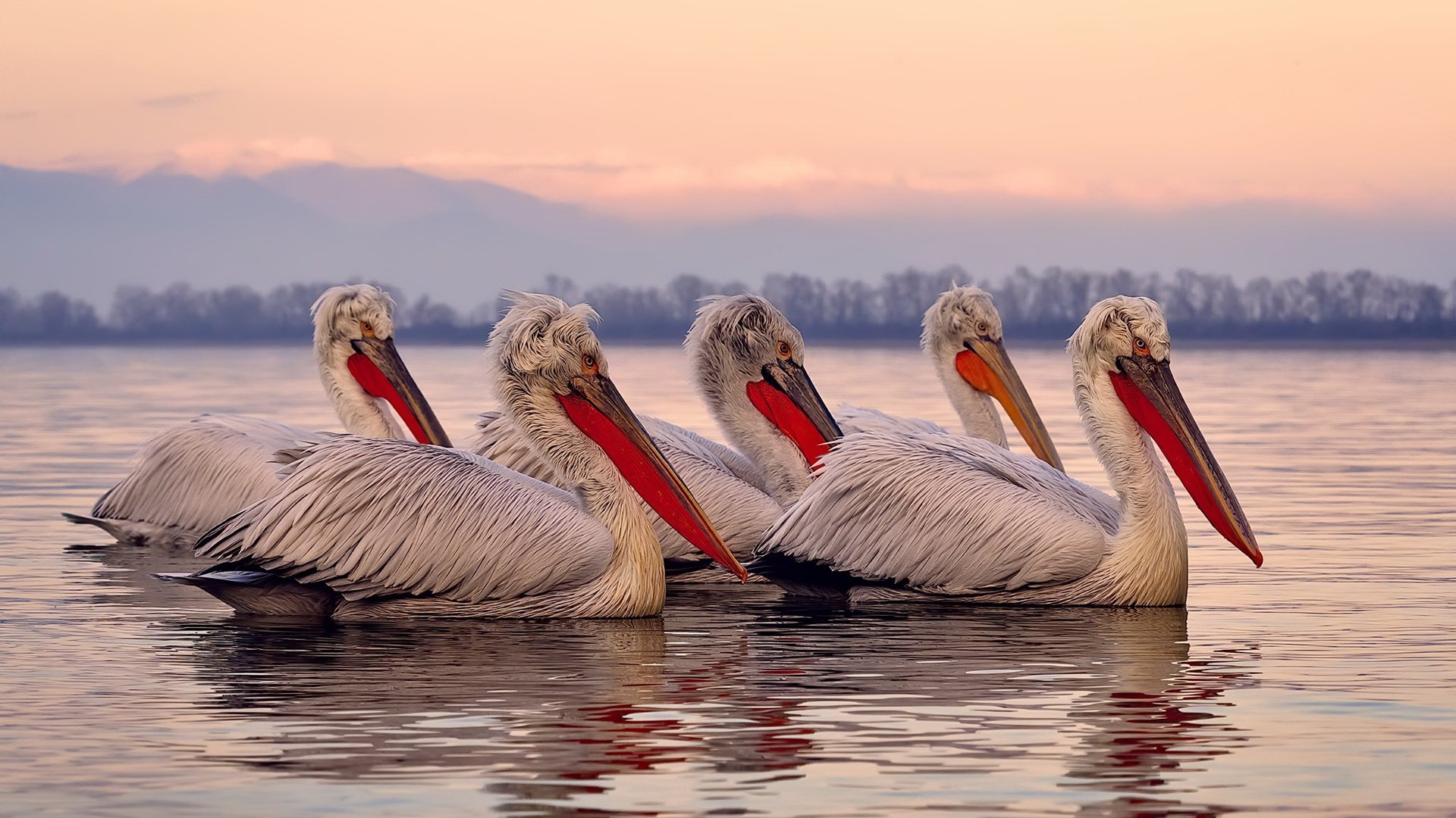 独舞者与协奏曲,当太阳以欧文的节奏击穿猛龙