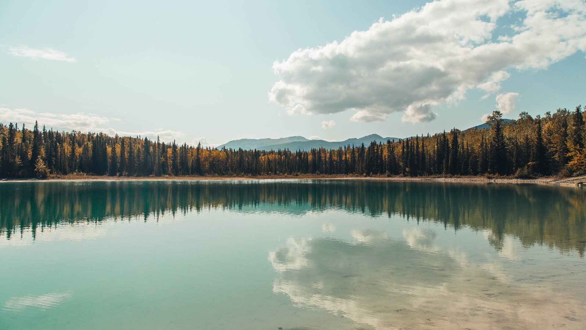 审判之夜，当巴雷拉在抢七的祭坛上献祭整条防线