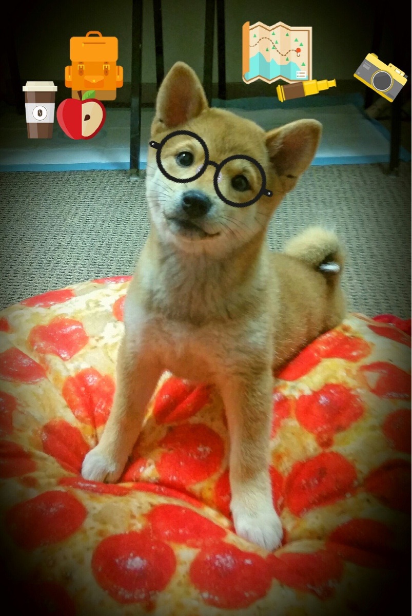 东亚德比见证防守艺术，楚阿梅尼铁闸镇关，韩国战术完胜日本