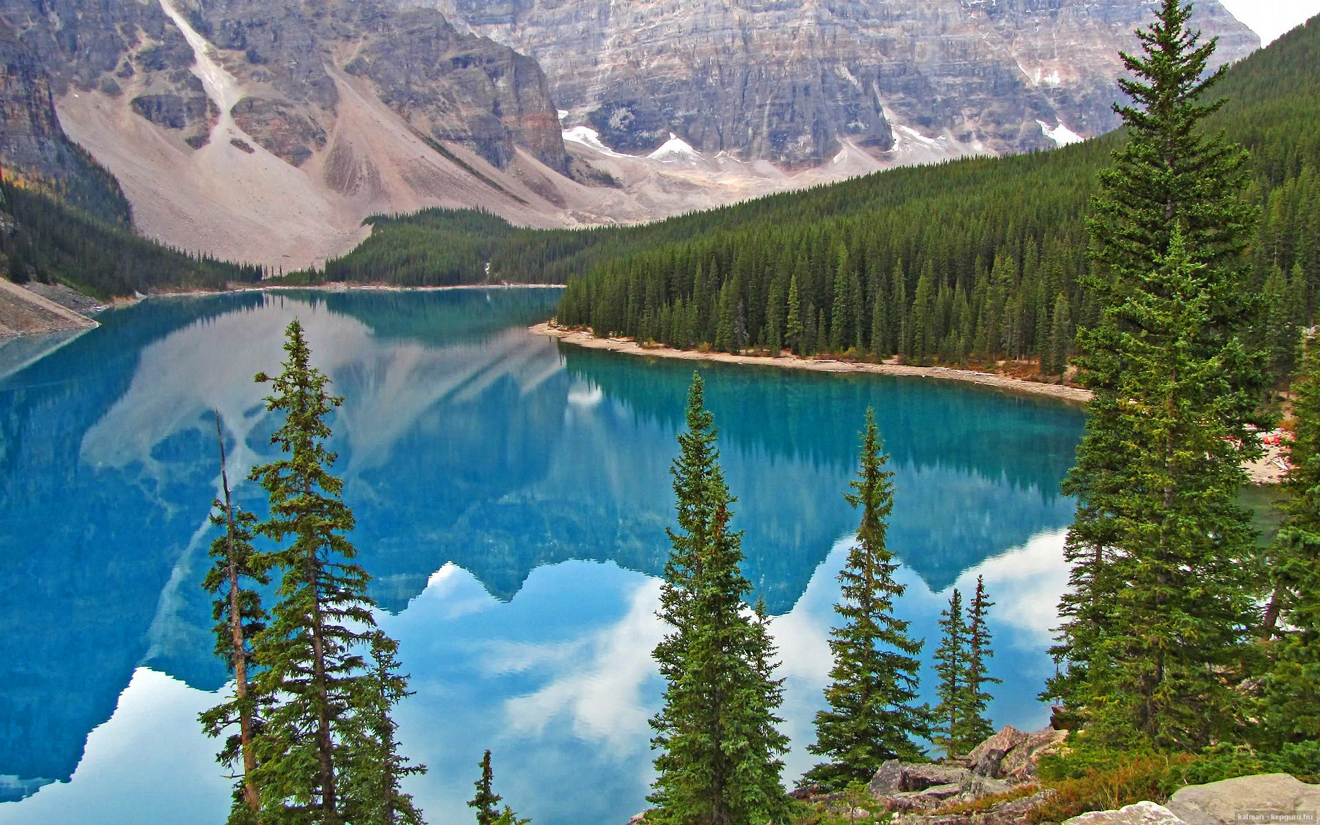 当蓝黑条纹遇见特兰加雄狮,格列兹曼的关键先生本色超越国界