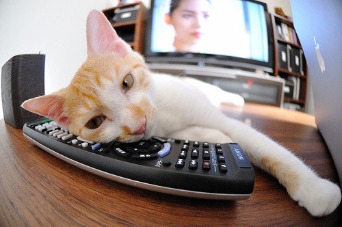 当非洲野火席卷圣西罗，三笘薰的致命温柔与米兰的全球化阵痛