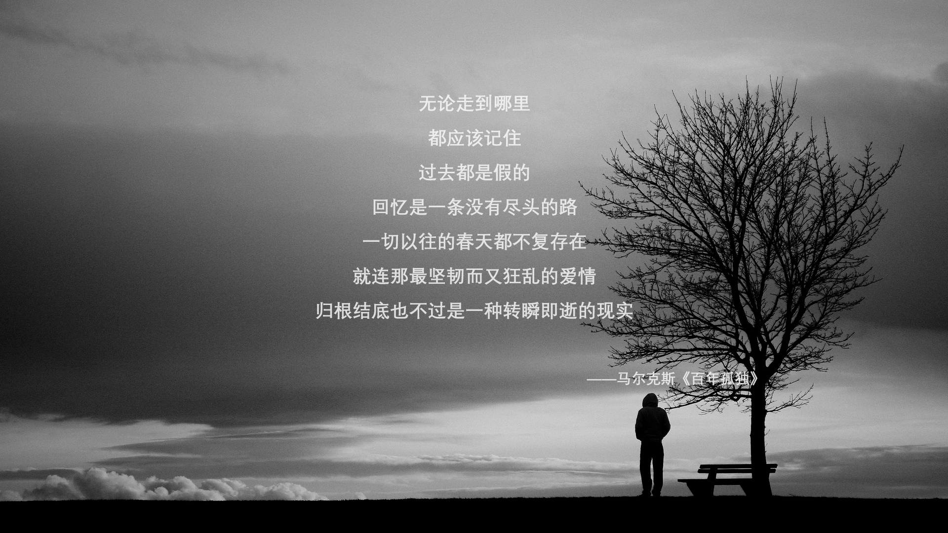 当星月防线遭遇非洲咆哮，奥斯梅恩用统治级数据刻下新时代印记