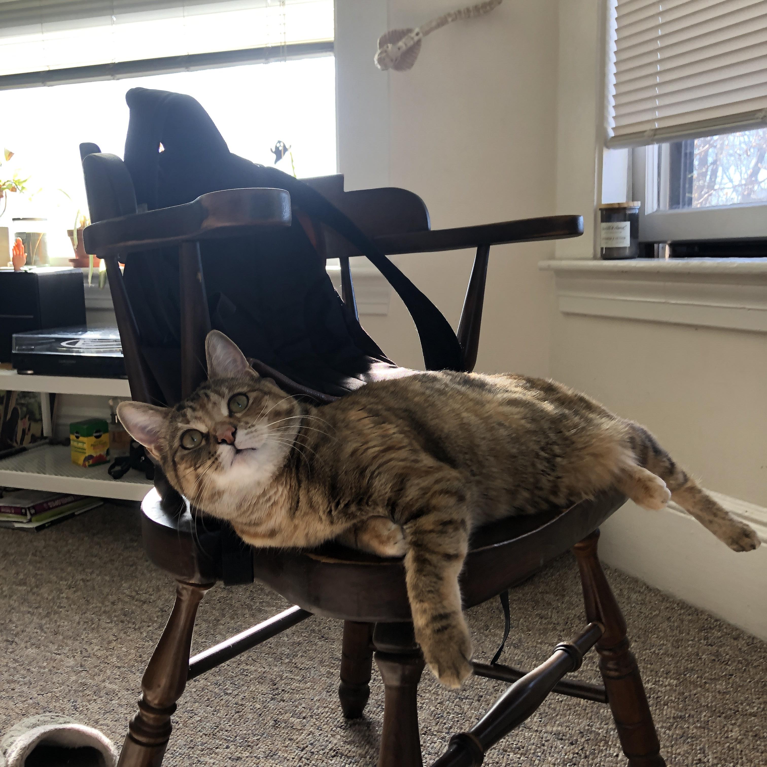 最反传统的统治力，特奥如何用杀死控球的方式征服欧冠决赛之夜