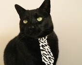 浴血之战，苏格兰绝境逆袭，年度焦点战碾碎威尔士