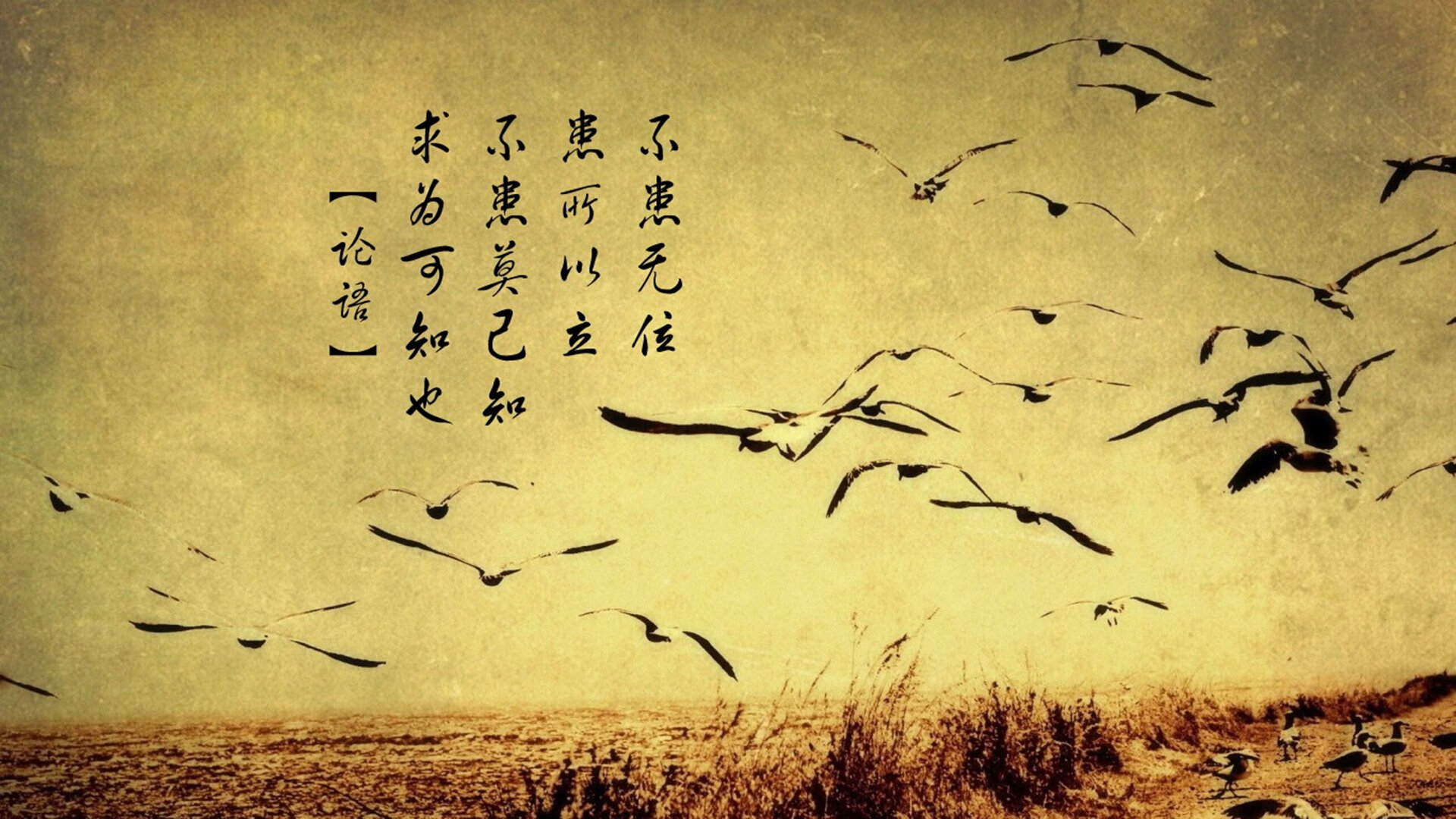 当浙江队跨越时空成为对手,德罗赞的沉睡基因为何突然觉醒?