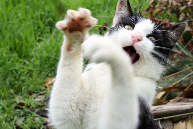 当岭南铁血掀翻三晋，与绿衫新王的生涯之夜共振