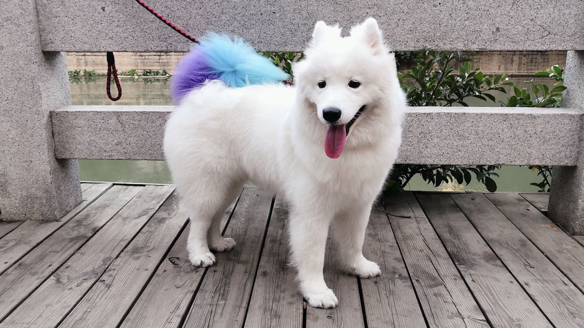 他划亮火柴时，没人想到会烧掉整个系列赛