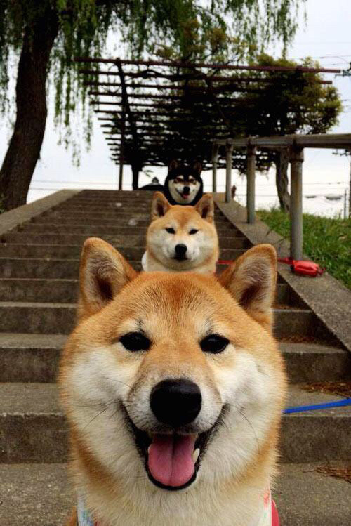 绿军的碰撞，当东方铁骑冲垮北岸花园，远方的排名战场正被一人接管