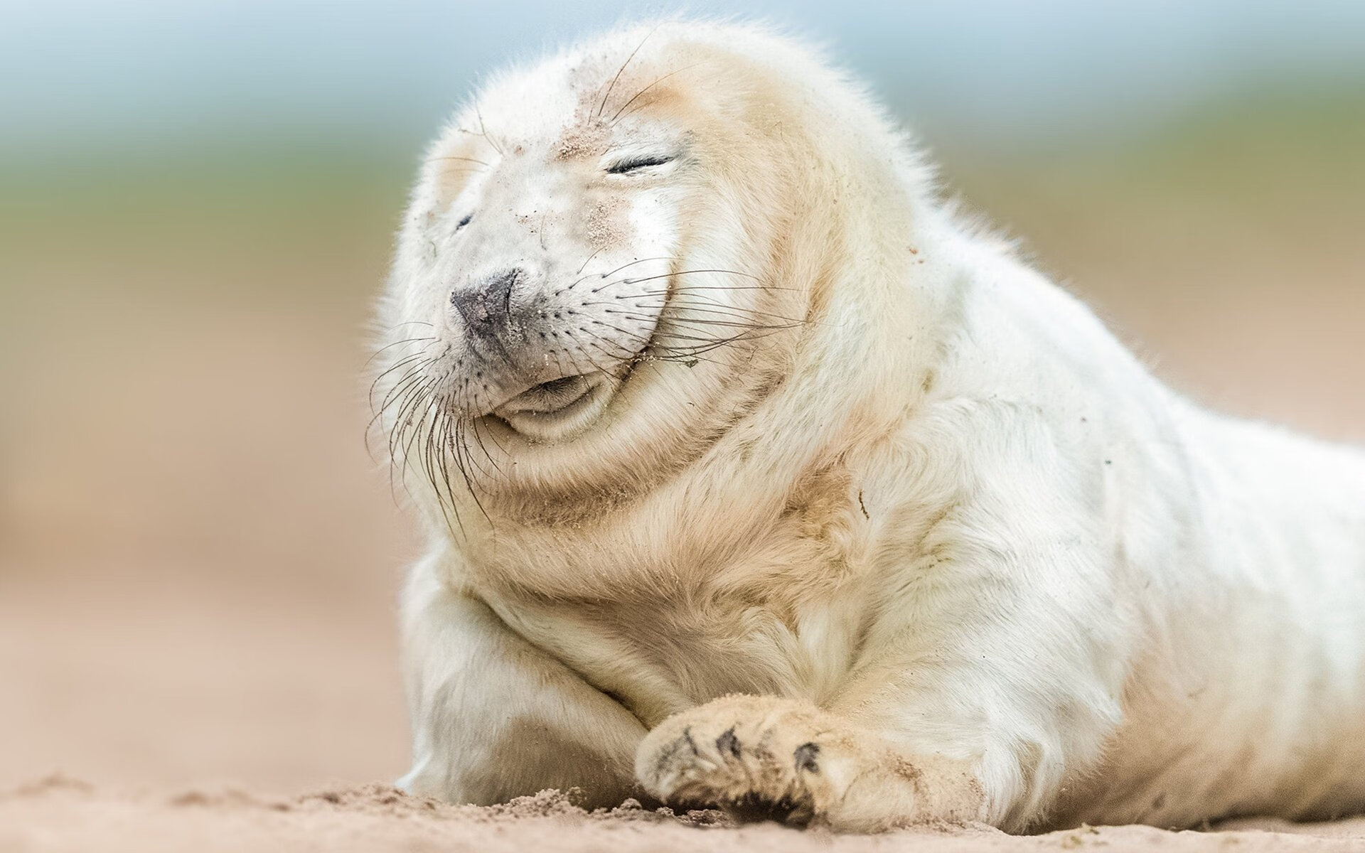 被打穿的傲慢，当NBA巨星看到厄瓜多尔防线如何被韩国肢解