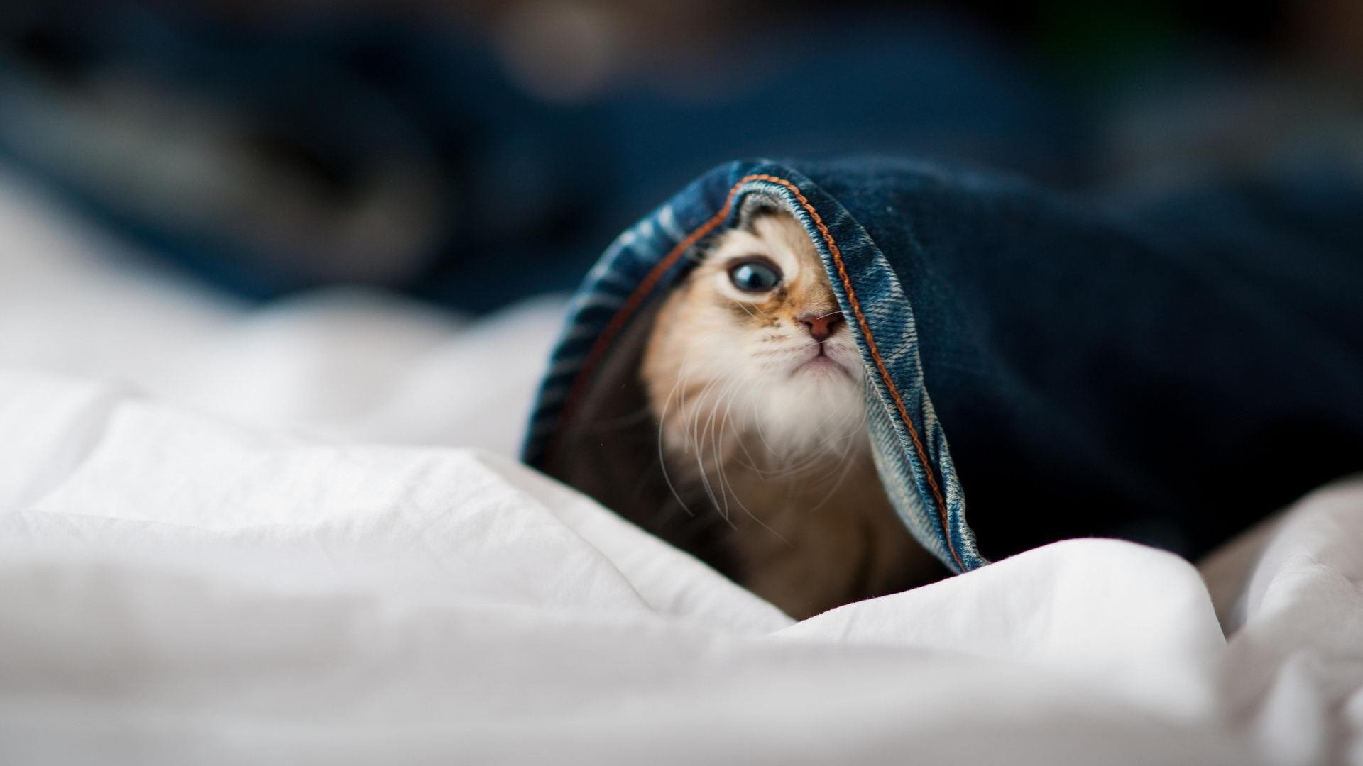 黄潜用红酒浇灌的硬仗，当福登披上比利亚雷亚尔的隐形斗篷