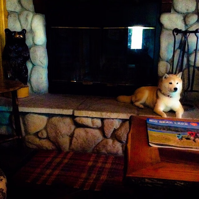 草根马刺掀翻北京王朝，乔治如神降临成关键先生