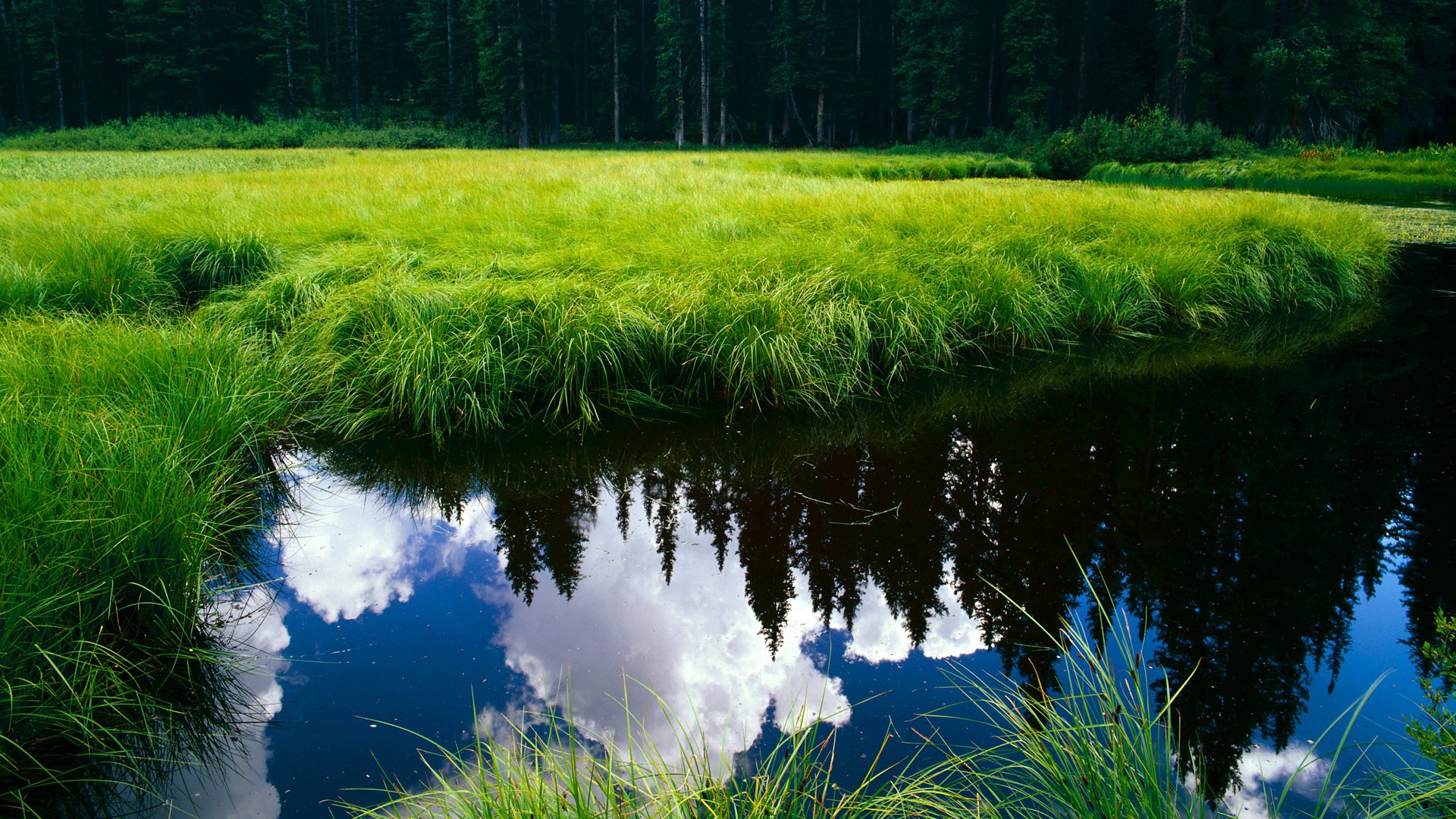 铁壁的两种诠释，金玟哉一夫当关，切尔西团队锁胜局