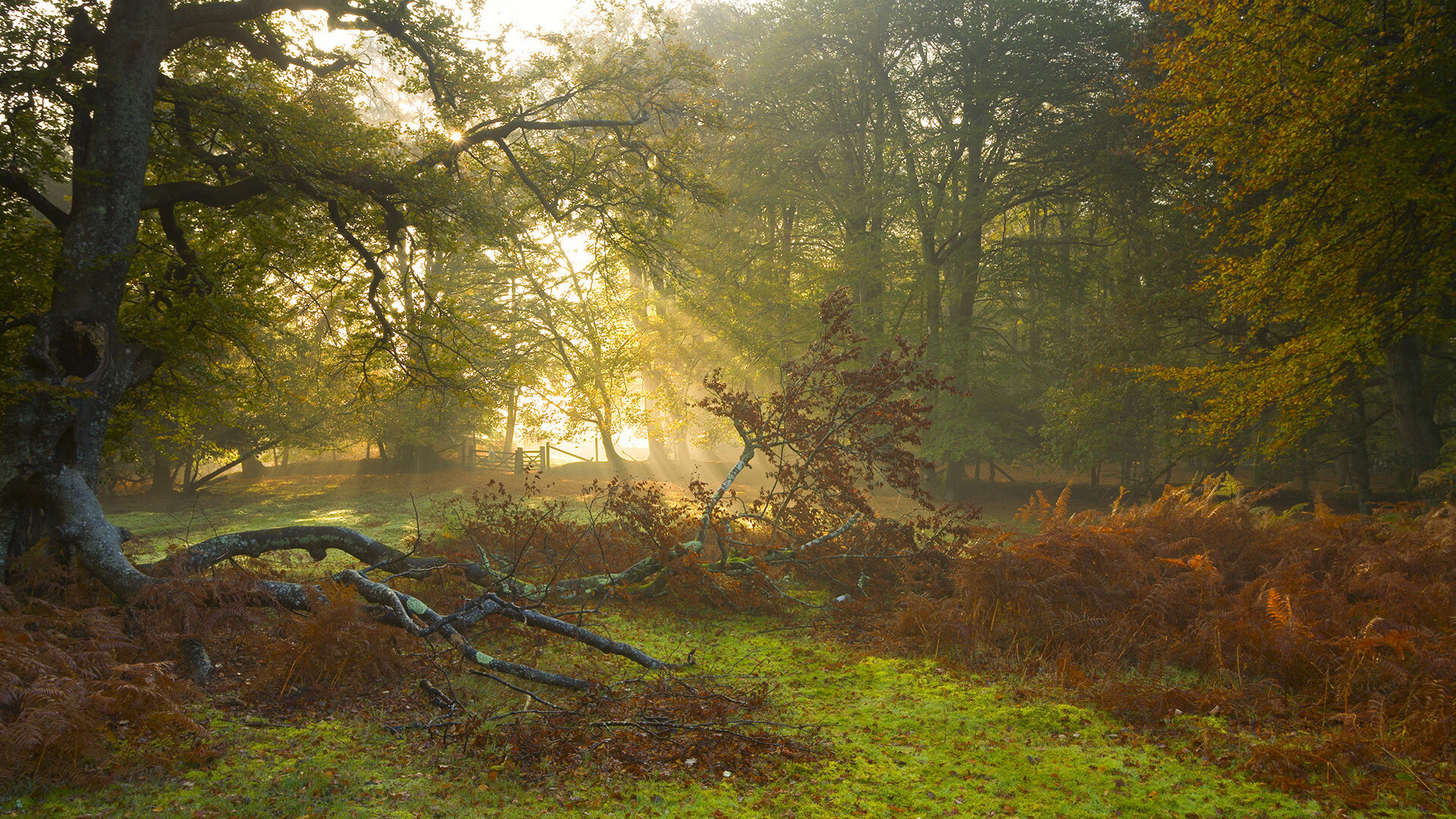 防线铁壁与中场权杖，足球哲学的两极演绎