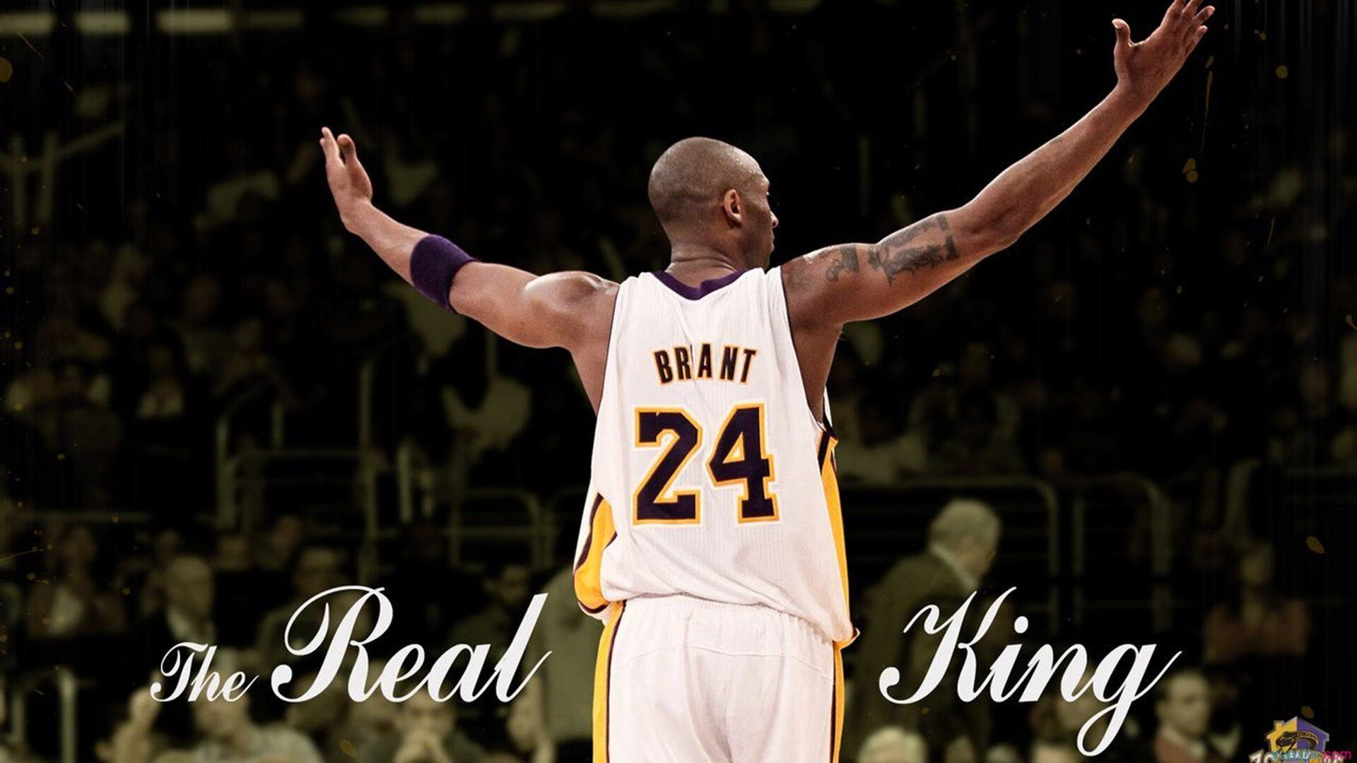 小贾伦全程高能输出破局，尼克斯关键战力克广东队突围晋级