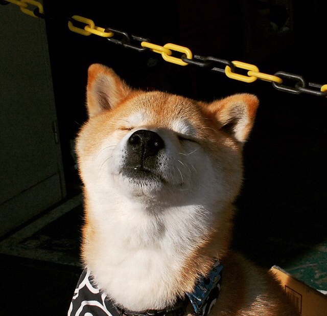 弦上重锤，门迪奏响德甲争冠夜的终极节奏