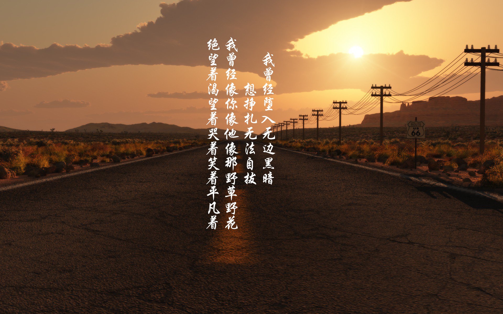 南半球风暴，澳大利亚鏖战突尼斯的世界排名争夺战