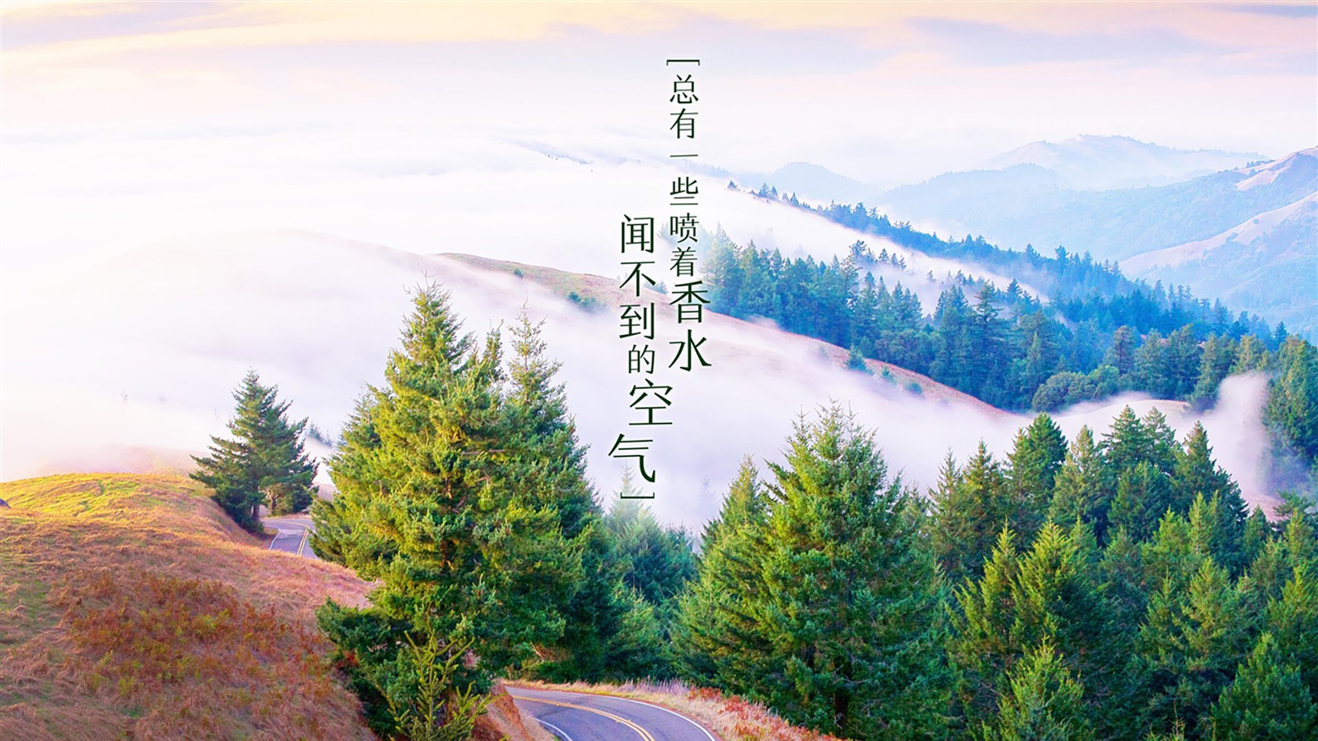 蓝衣变红魔,托纳利叛逃后的复仇之夜,比利时如何用钢铁中场碾碎波兰