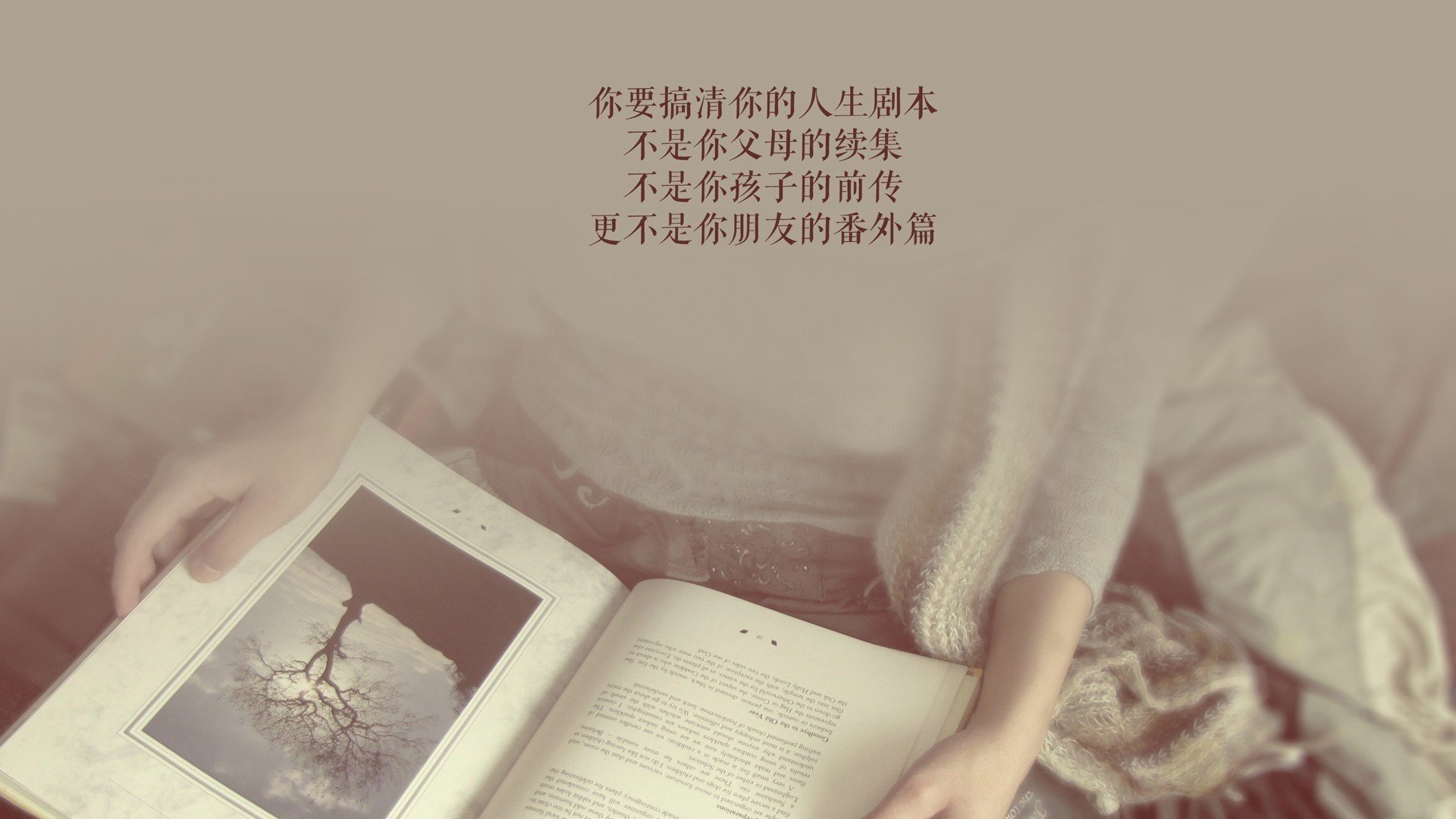 红袍加身的桑巴舞者，维尼修斯如何成为2026世界杯西法之战中，刺破高卢雄鸡的唯一利刃