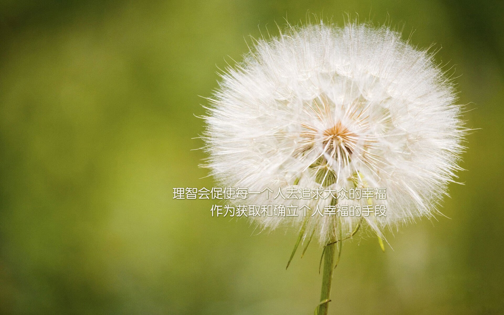 孤星闪耀多哈夜，当齐耶赫以一己之力，为保加利亚的灰姑娘童话写下最冷酷的注脚